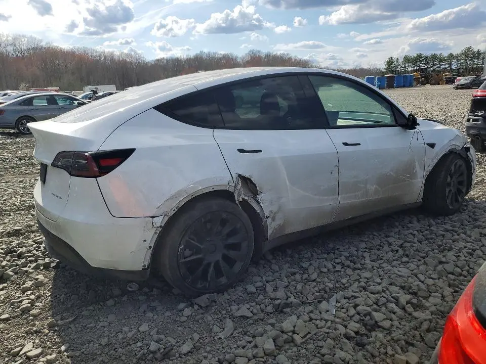 2021 TESLA MODEL Y   