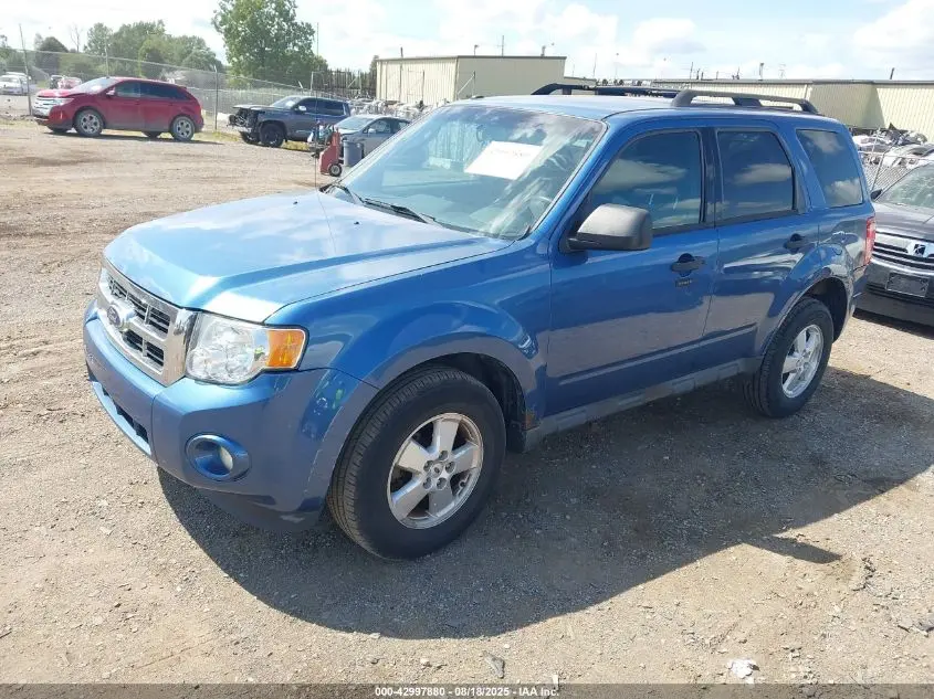 2010 FORD ESCAPE XLT