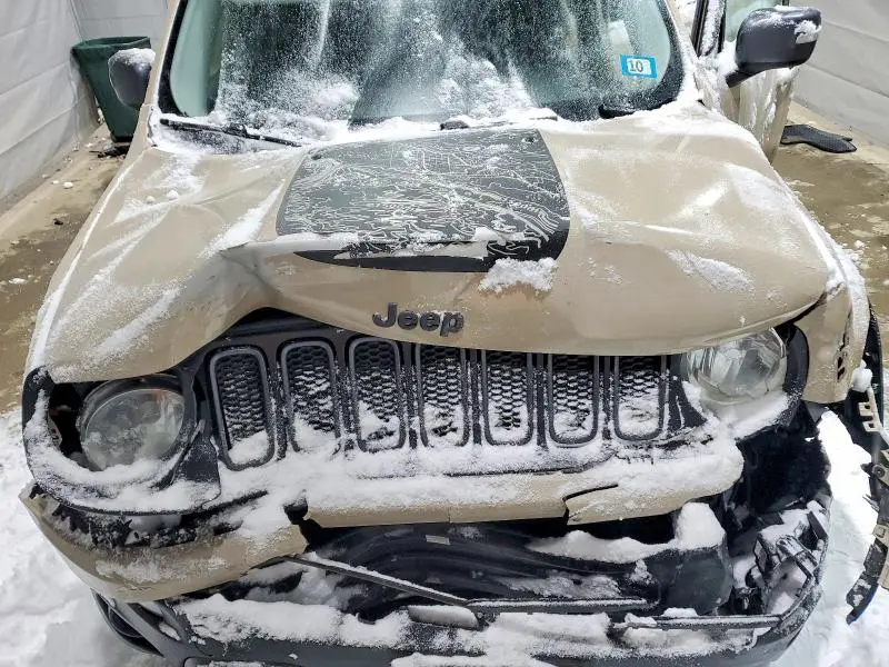 2017 JEEP RENEGADE TRAILHAWK  