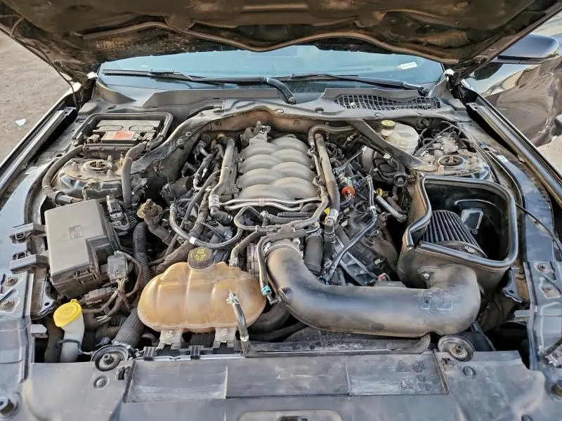 2019 FORD MUSTANG GT  