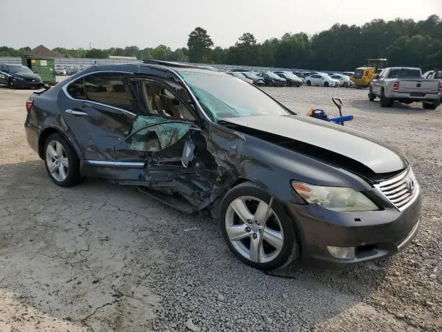 2010 LEXUS LS 460  