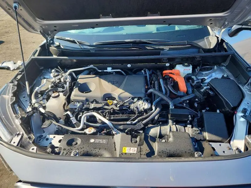 2025 TOYOTA RAV4 XSE  