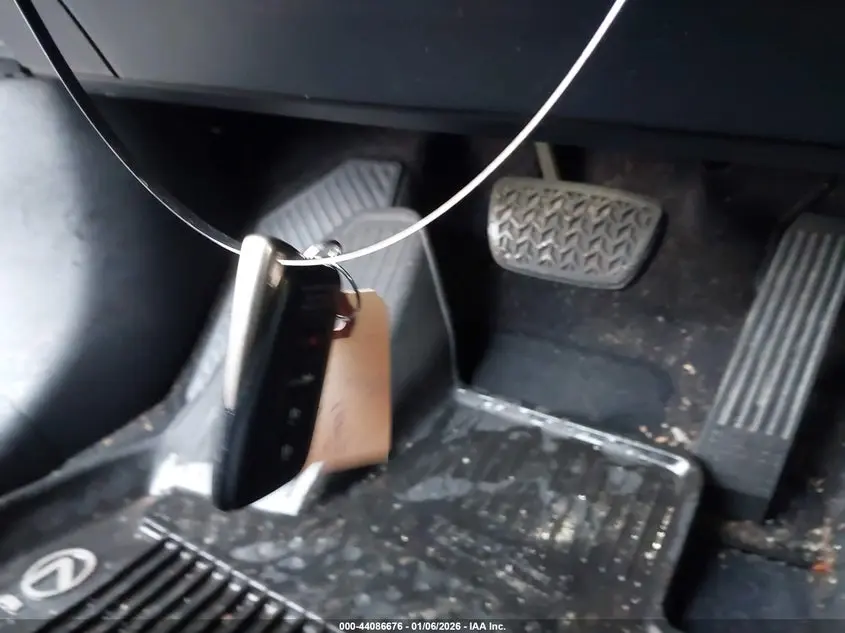 2019 LEXUS RX 450HL LUXURY