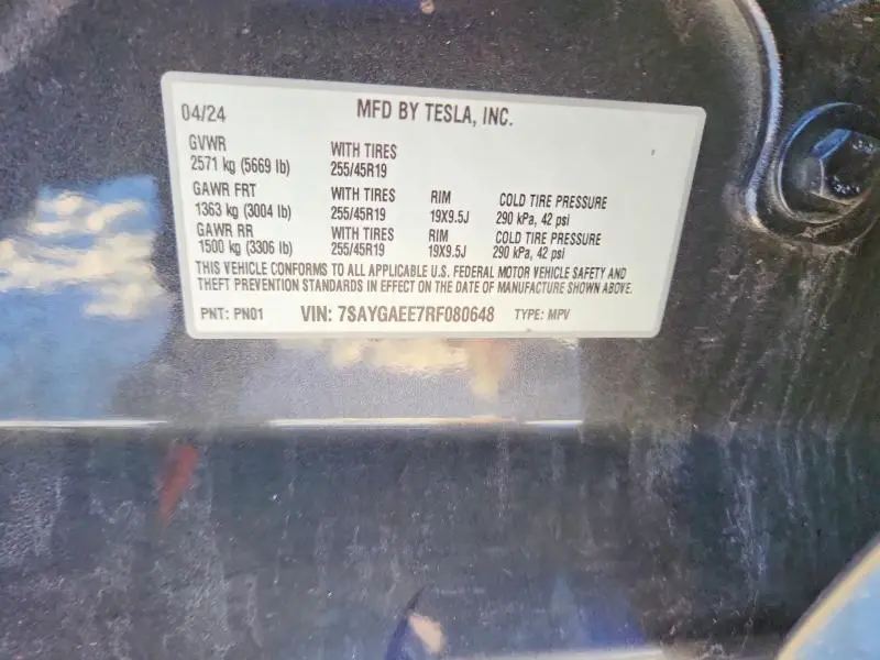 2024 TESLA MODEL Y   
