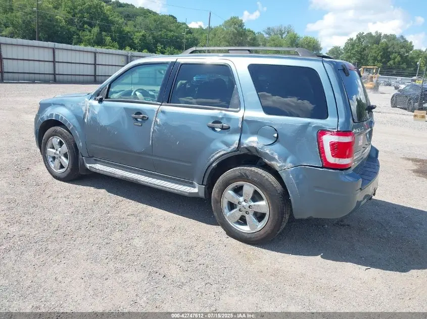 2010 FORD ESCAPE XLT