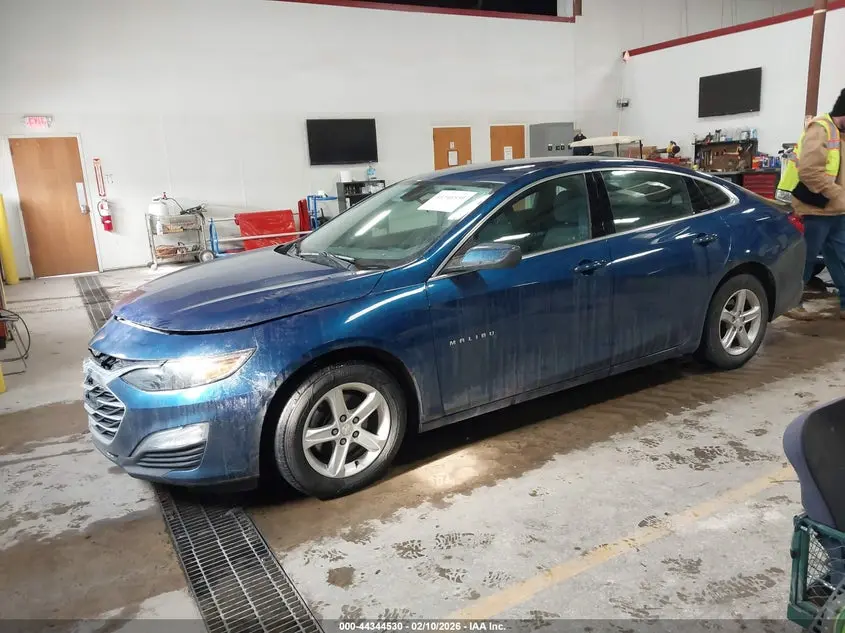 2019 CHEVROLET MALIBU 1FL