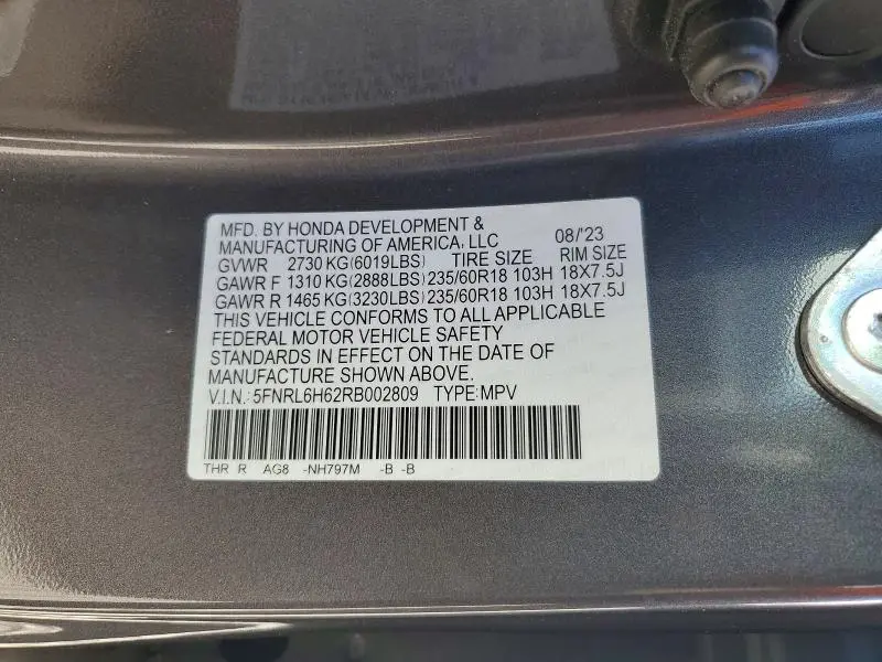 2024 HONDA ODYSSEY EXL  