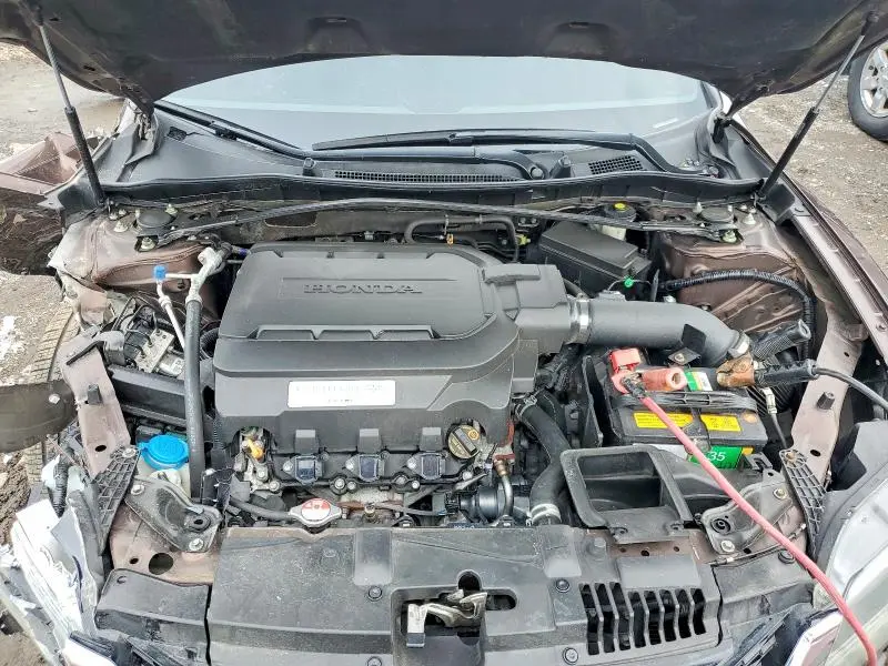 2013 HONDA ACCORD EXL  