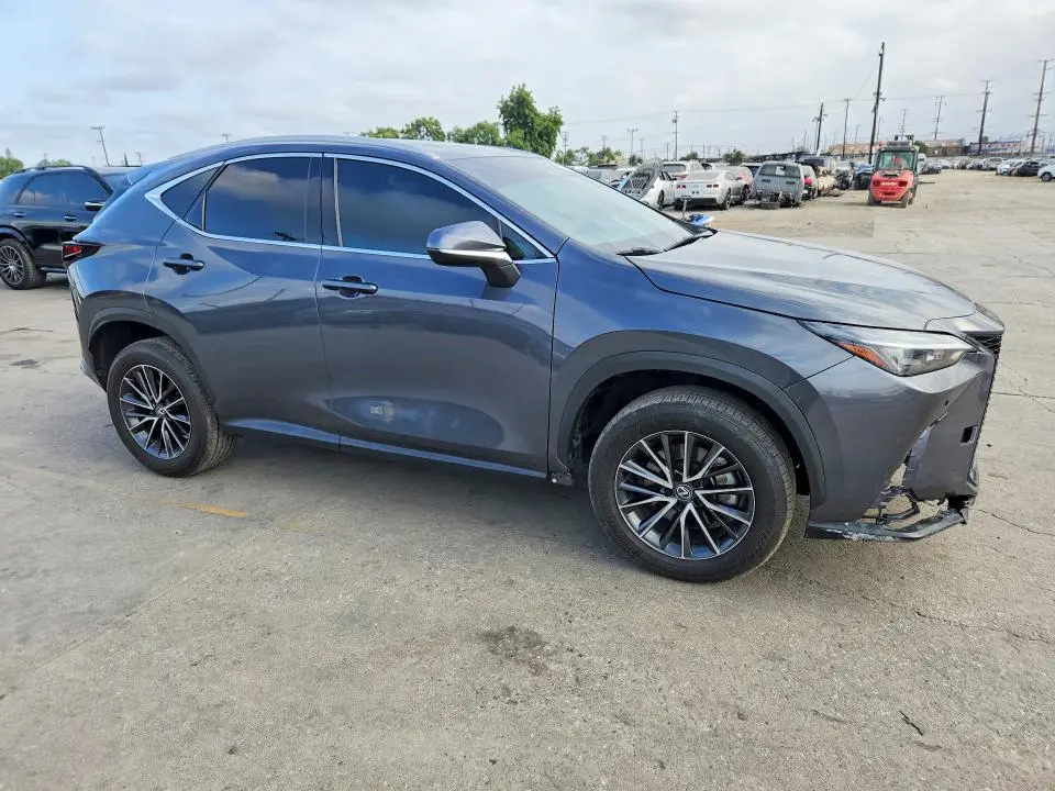 2024 LEXUS NX 350 BASE  