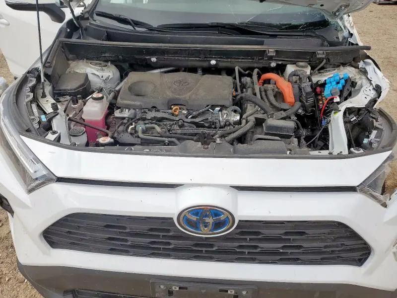 2023 TOYOTA RAV4 WOODLAND EDITION  