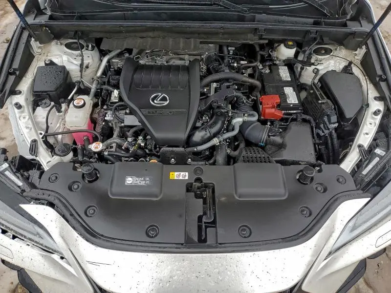 2024 LEXUS NX 350 LUXURY  