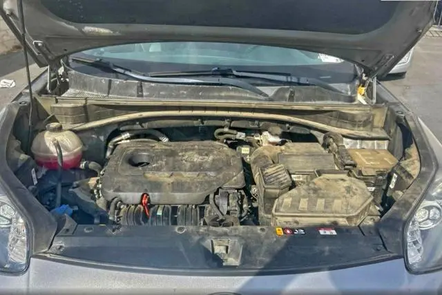 2021 KIA SPORTAGE EX  