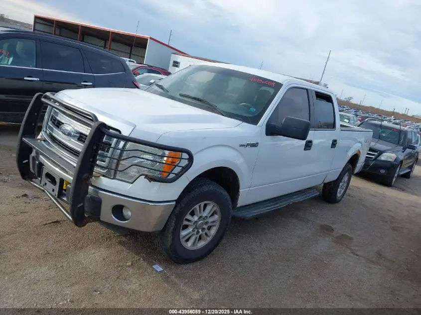 2014 FORD F-150 XLT