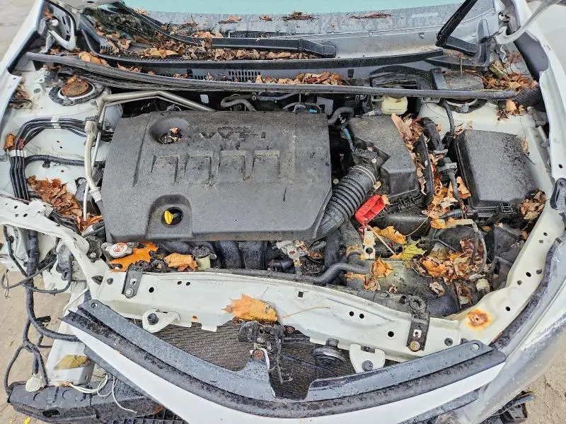 2017 TOYOTA COROLLA SE  