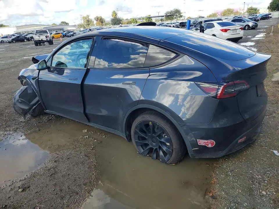 2024 TESLA MODEL Y   