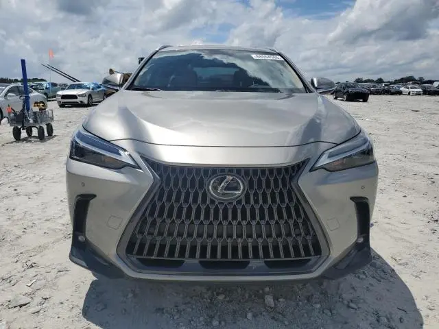 2023 LEXUS NX 350  