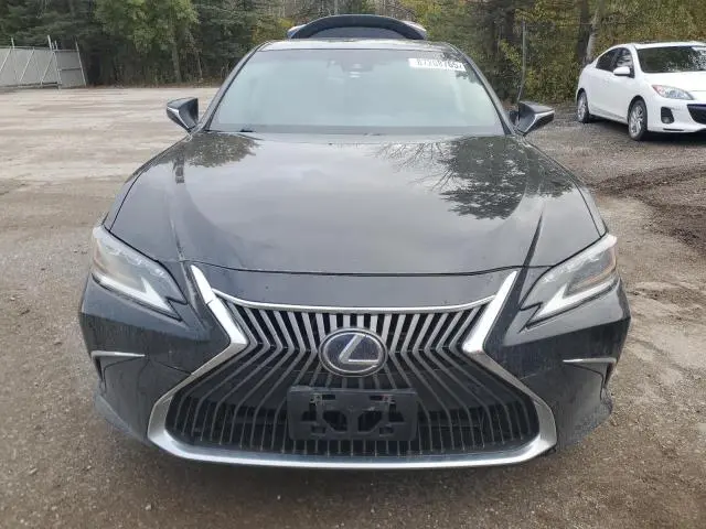 2019 LEXUS ES 300H  