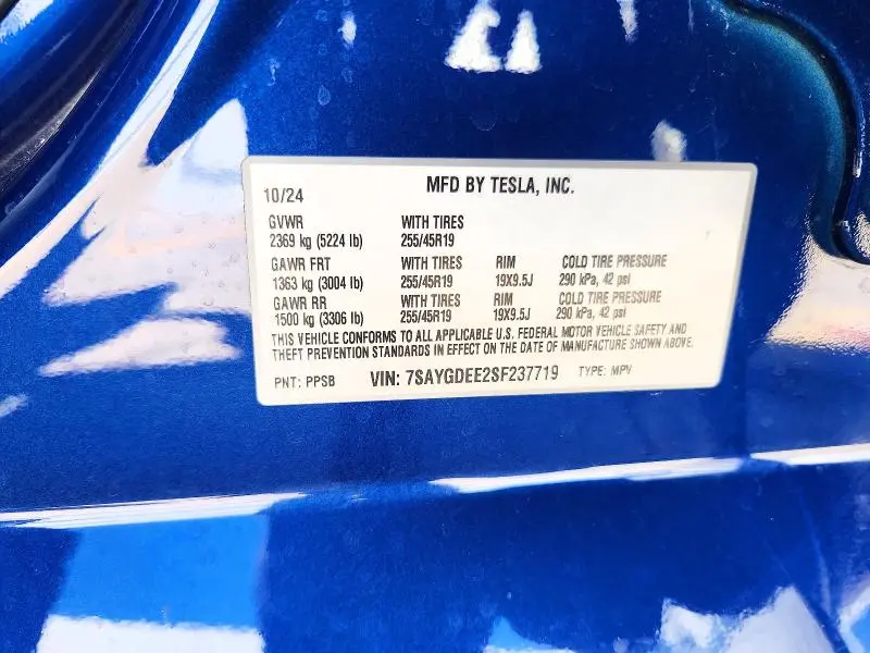 2025 TESLA MODEL Y   