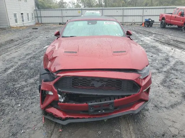 2019 FORD MUSTANG   