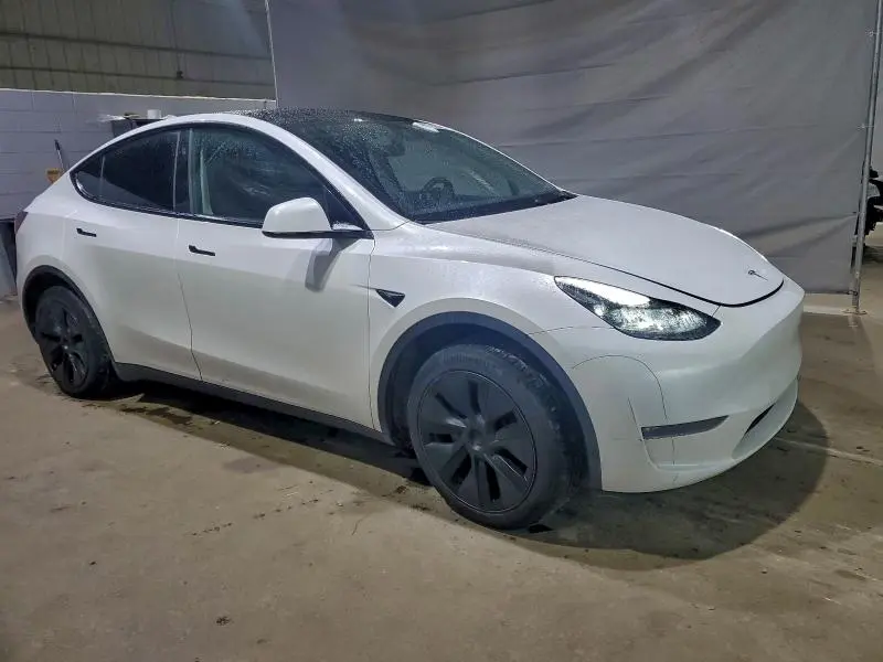2025 TESLA MODEL Y   