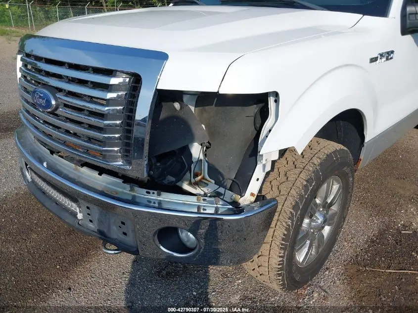2011 FORD F-150 XLT