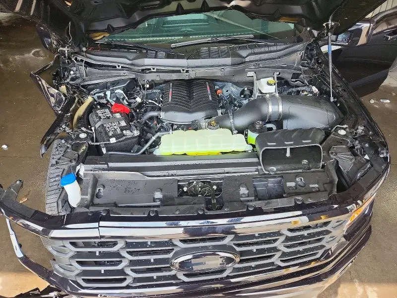 2025 FORD F150 XL  
