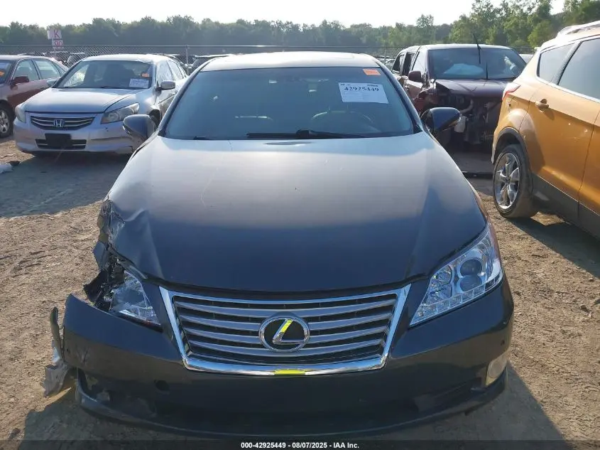 2010 LEXUS ES 350  