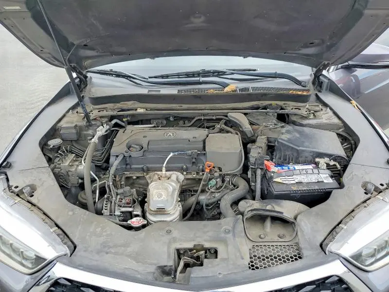 2019 ACUR TLX TECHNO   