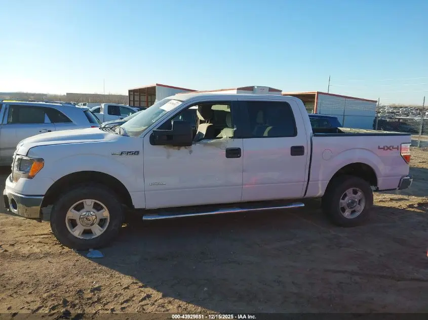 2014 FORD F-150 XLT