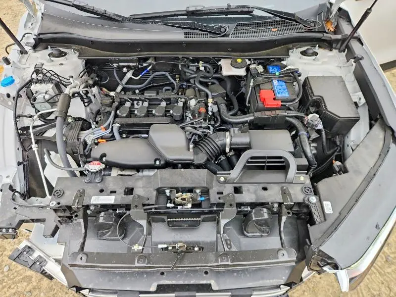 2025 HONDA CR-V EXL  