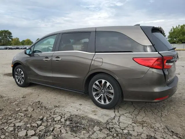2021 HONDA ODYSSEY EXL  