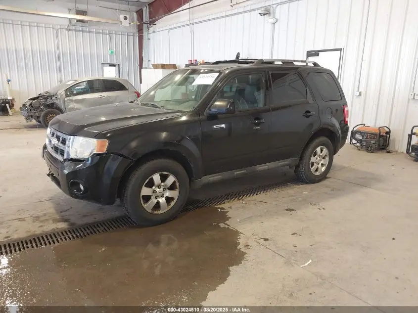 2011 FORD ESCAPE LIMITED