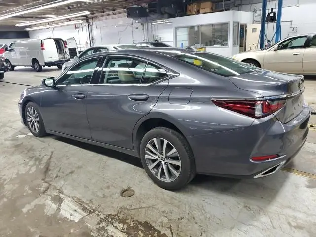 2019 LEXUS ES 350  