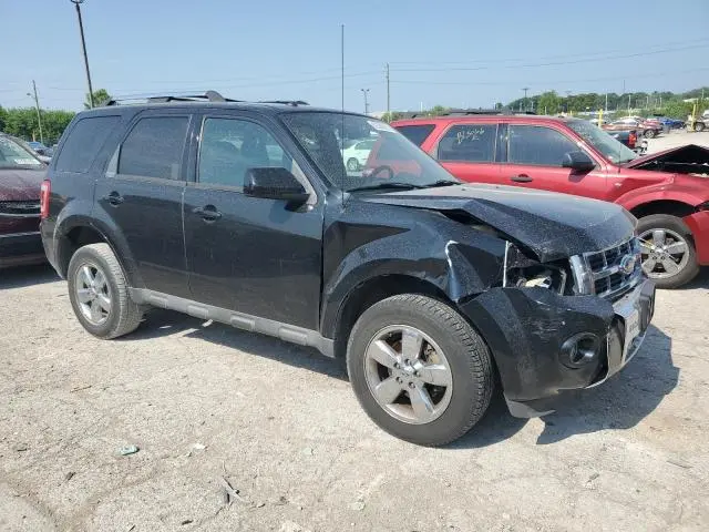 2010 FORD ESCAPE LIMITED  