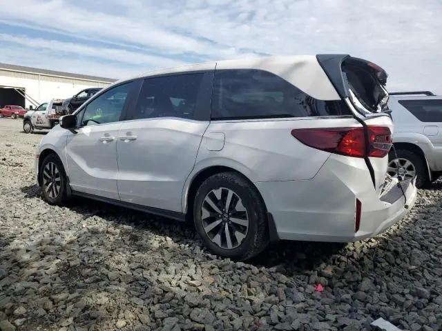 2025 HONDA ODYSSEY EXL  