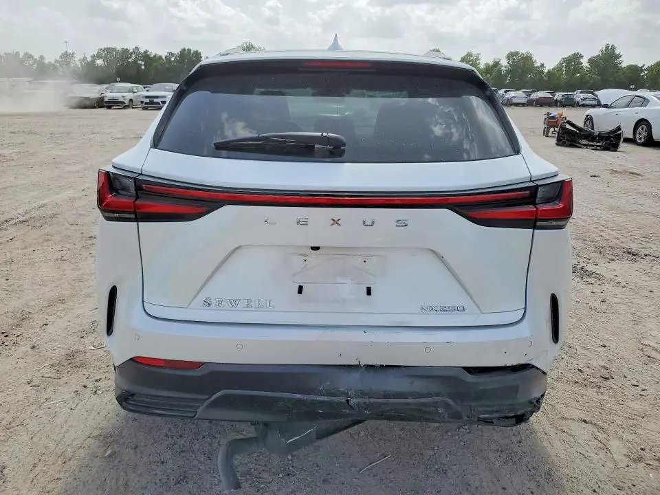 2024 LEXUS NX 250 PREMIUM  