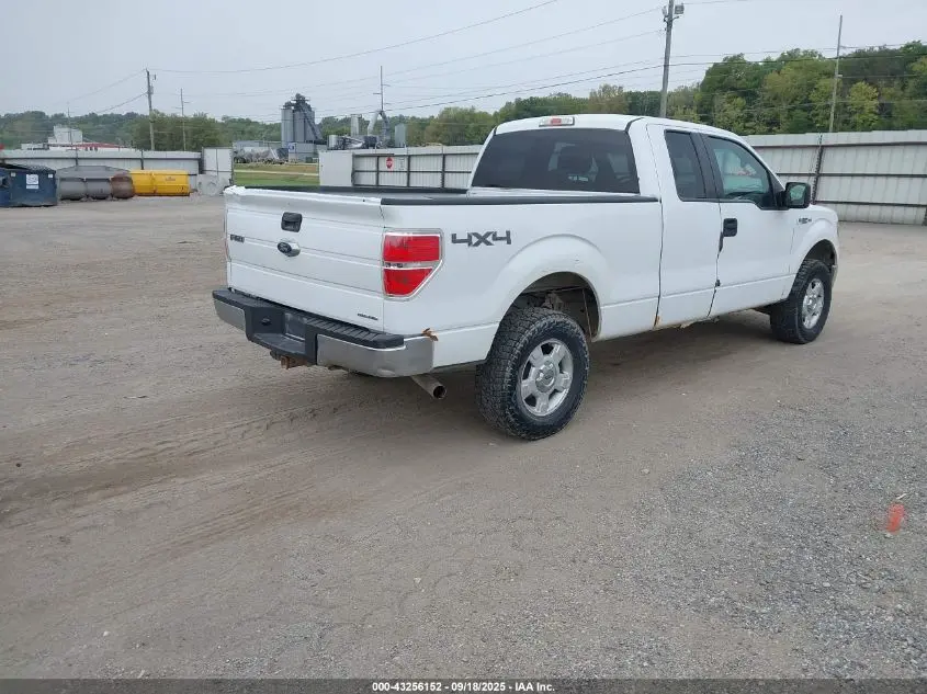 2013 FORD F-150 XLT