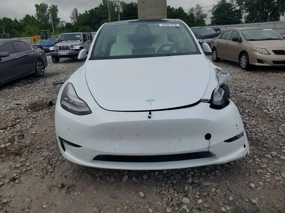 2021 TESLA MODEL Y   