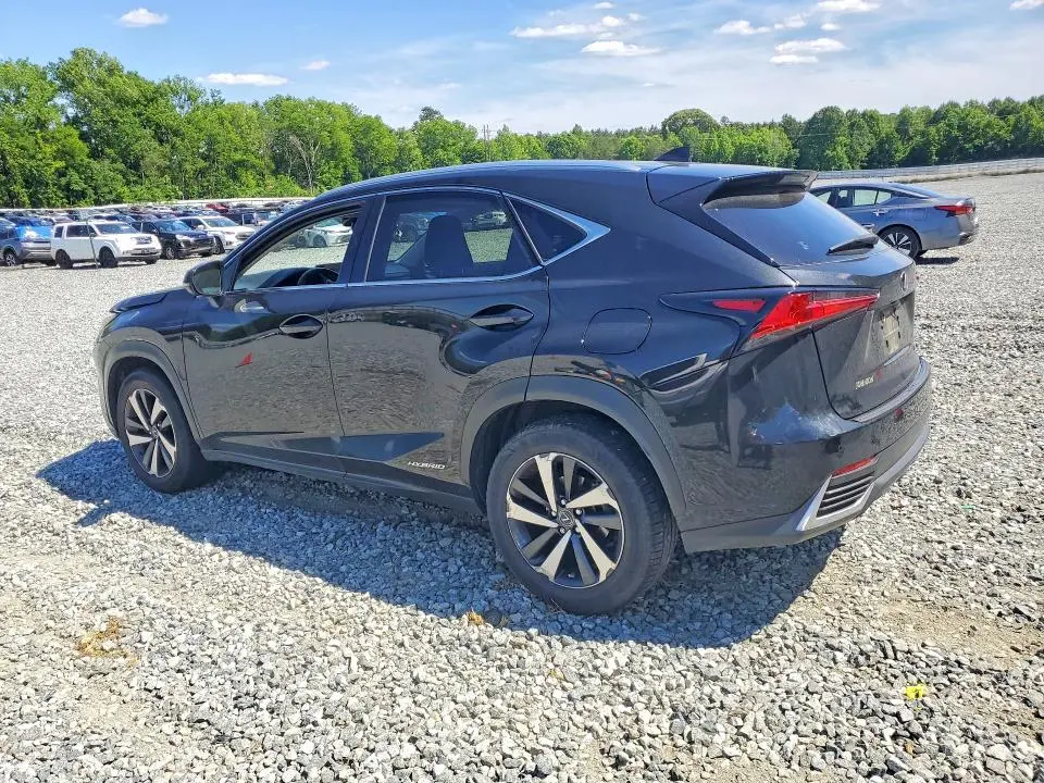 2019 LEXUS NX 300H  
