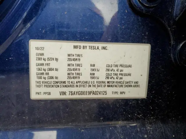 2023 TESLA MODEL Y   