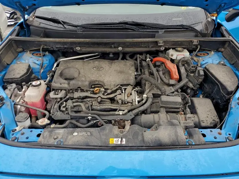 2019 TOYOTA RAV4 XLE  