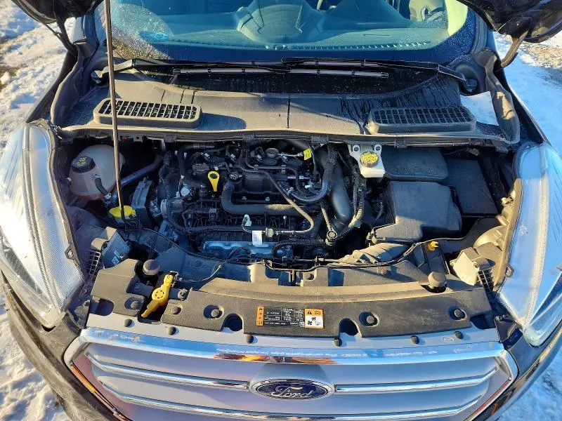 2019 FORD ESCAPE SEL  