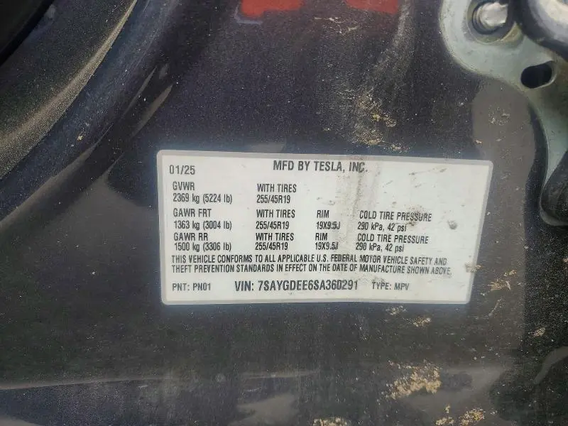 2025 TESLA MODEL Y   