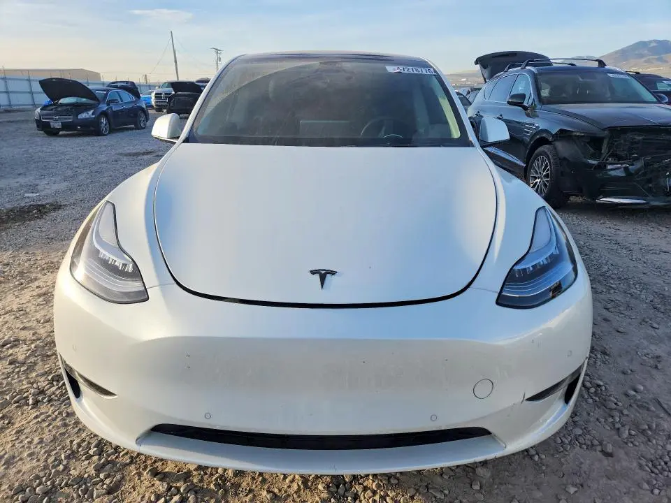 2022 TESLA MODEL Y   