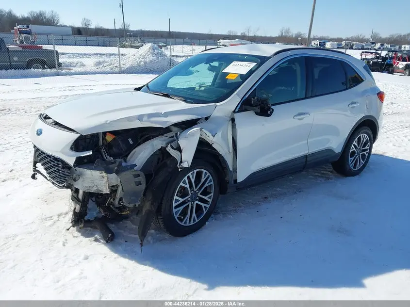 2020 FORD ESCAPE SEL