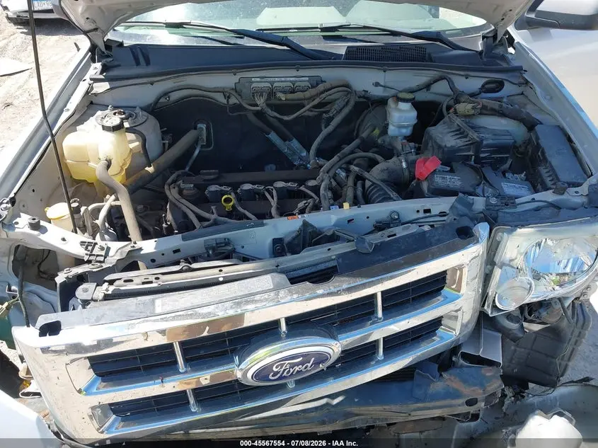 2010 FORD ESCAPE XLT