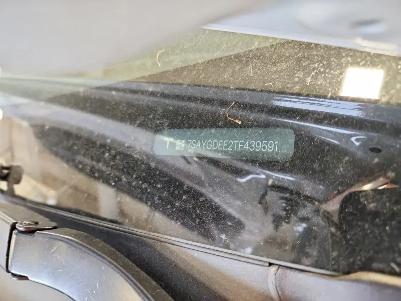 2026 TESLA MODEL Y   
