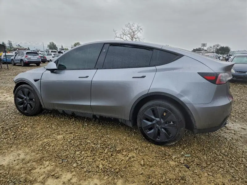 2025 TESLA MODEL Y   