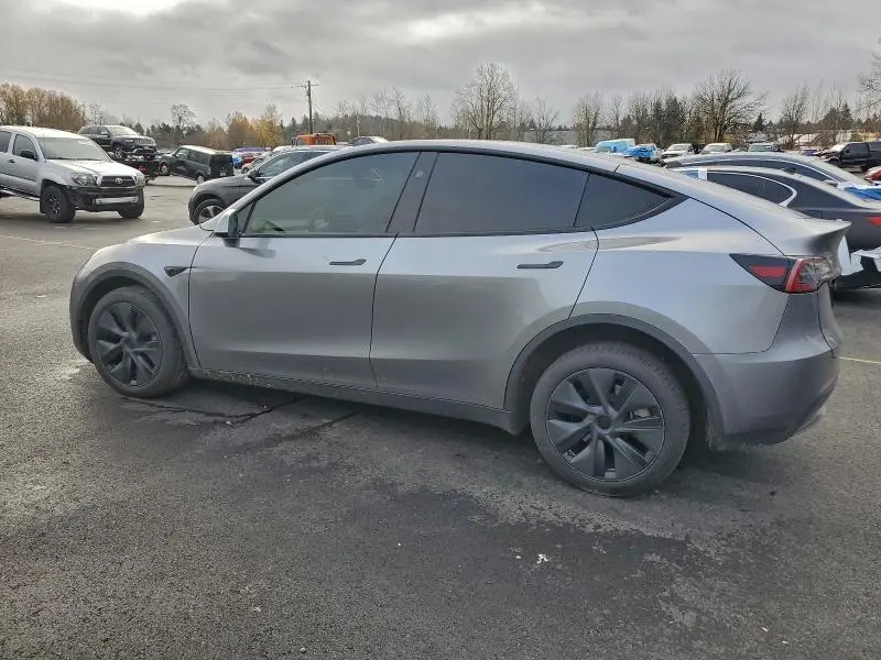 2025 TESLA MODEL Y   