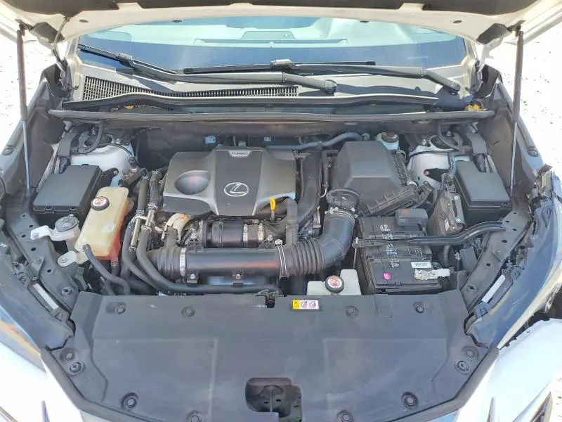 2019 LEXUS NX 300 F SPORT  